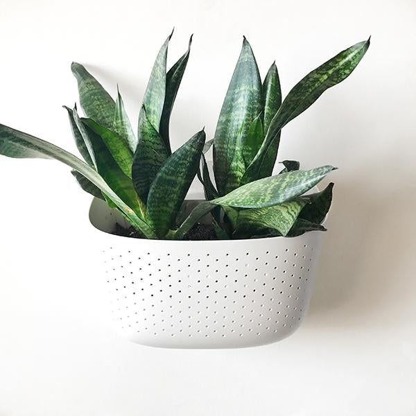 White Eco Wall Planter