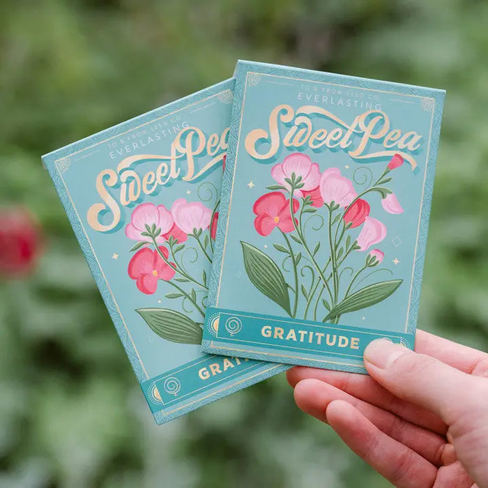 Sweet Pea - Floriography Seed Packet (Gratitude)