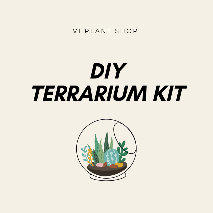 DIY Terrarium Kit