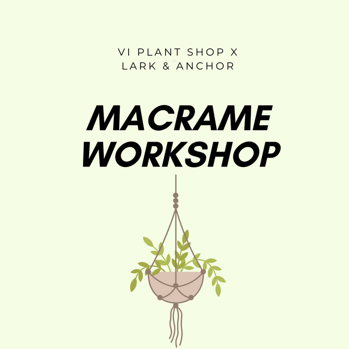 Macrame Workshop