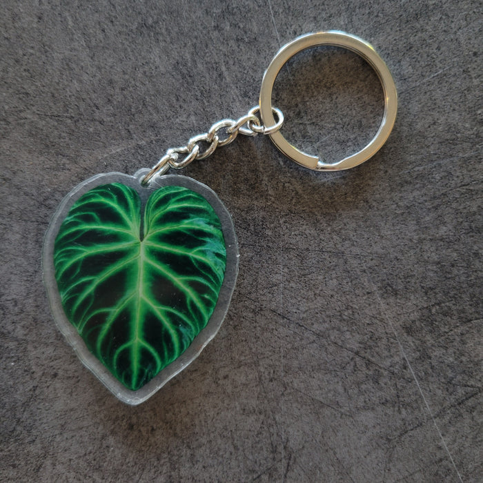 Philodendron Verrucosum Acrylic Key Chain