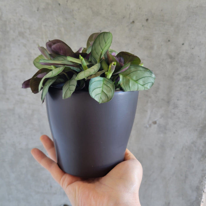 Black Taper Planter