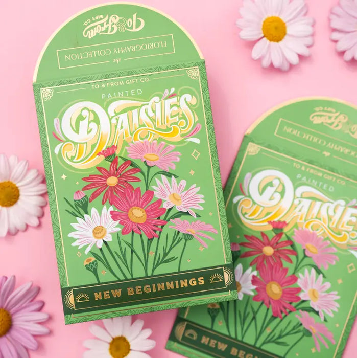 Painted Daisies (New Beginnings) - Floriography Seed Packet