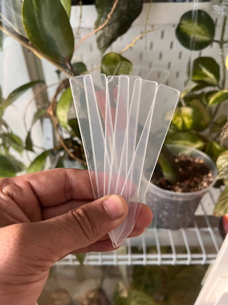Hand holding a stack of clear plant tags