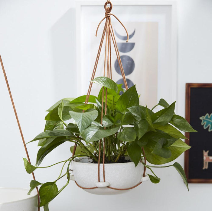 Loop Hanging Pot