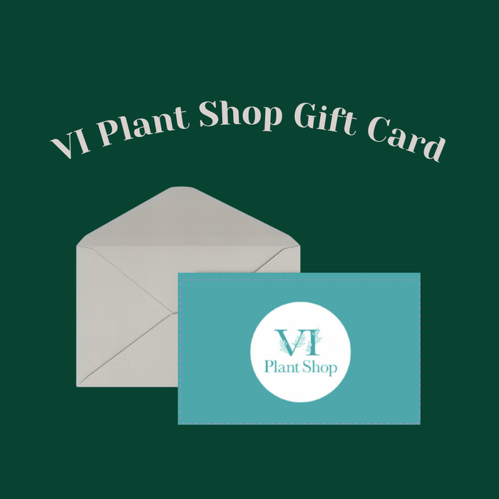 Gift Card (Option to Schedule Send)