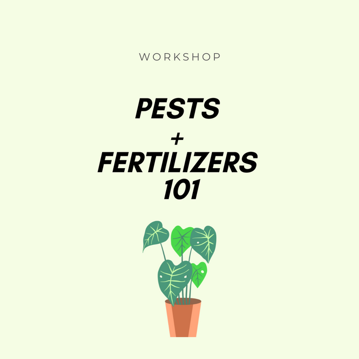 Pests + Fertilizers 101 Workshop