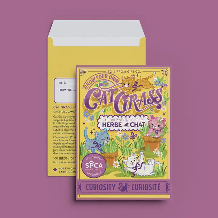 Cat Grass Seed Packet (Curiosity) with Purple Foil