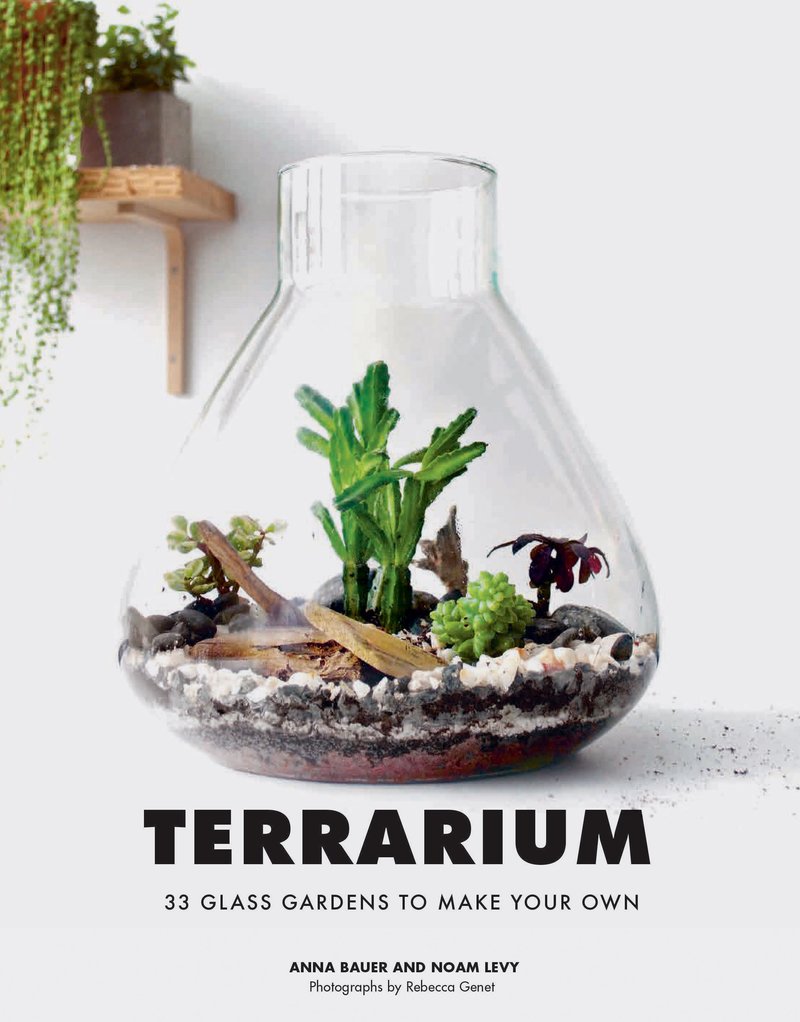 huabei plant terrarium Terrarium Book – VI Plant Shop