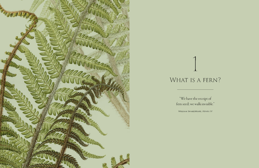 Ferns Book