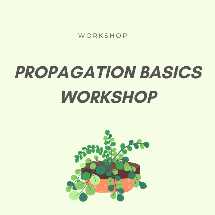 Propagation Basics Workshop