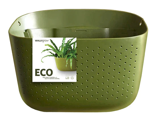 Olive Eco Wall Planter