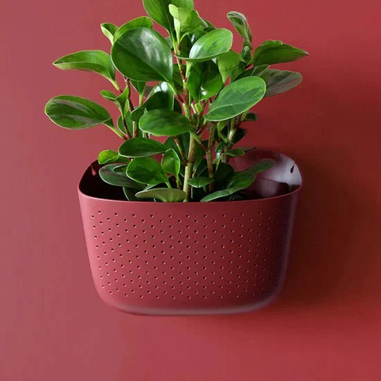 Brick Eco Wall Planter