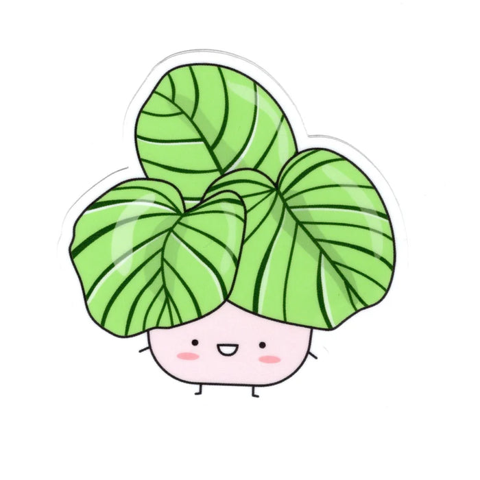 Calathea Orbifolia Vinyl Sticker