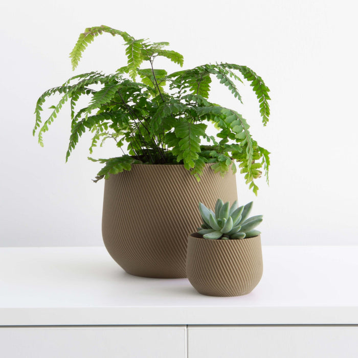 Mocha Juniper Planter