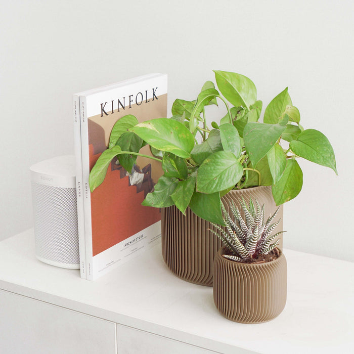 Mocha Pine Planter