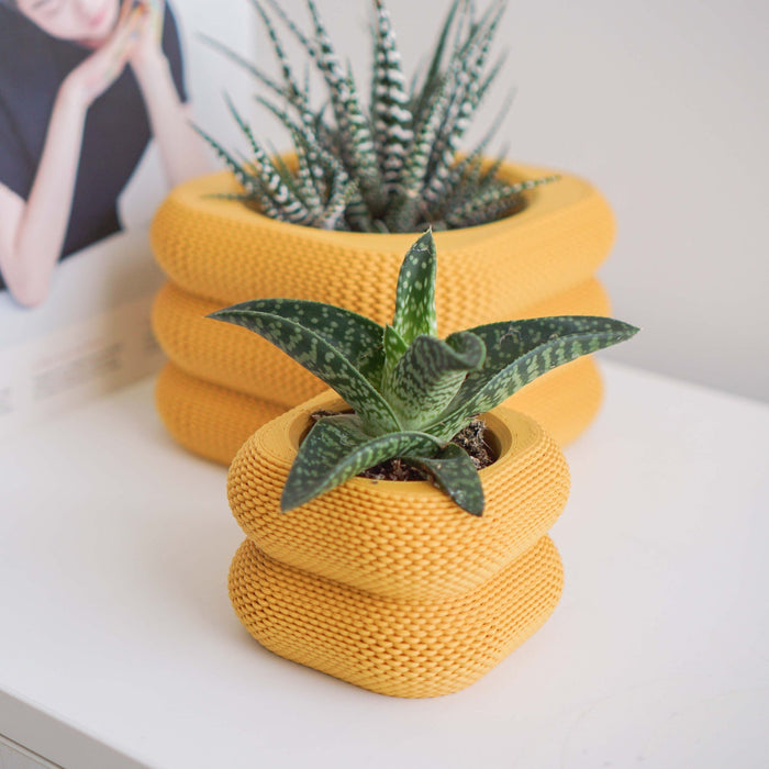 Mustard Yellow Yew Planter