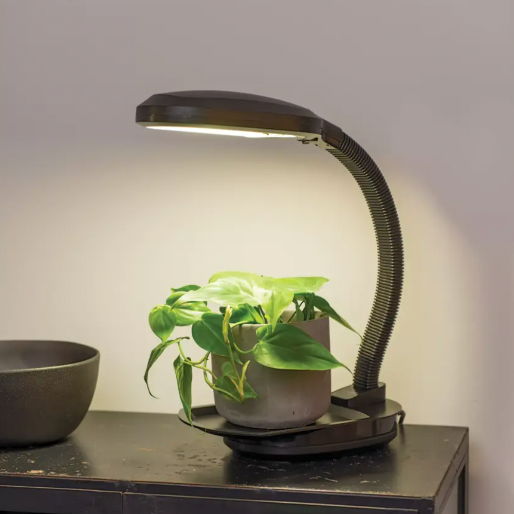 desk plant grow light 14W Desktop LED Grow Light – VI Plant Shop