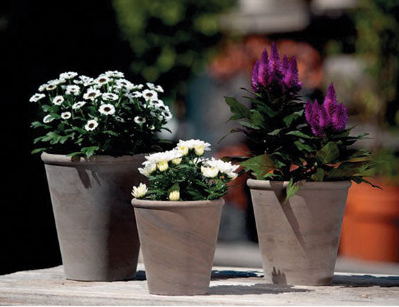 Tapered Dark Marble Terracotta Planter with Water Saucer
