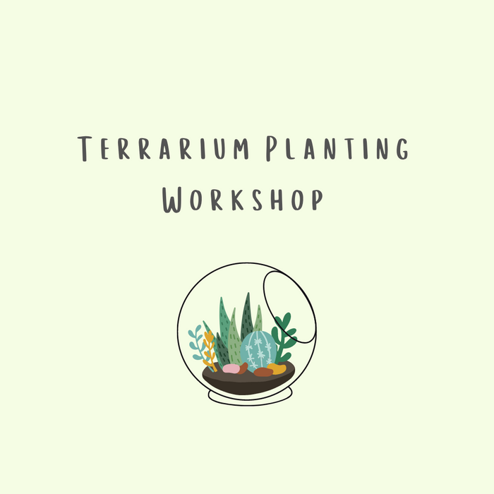 Terrarium Workshop (Private Event)