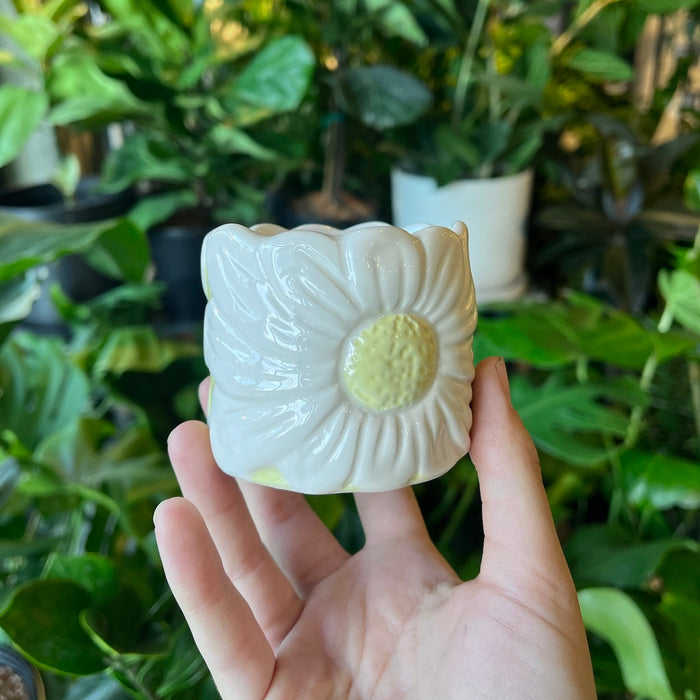 Daisy Pot