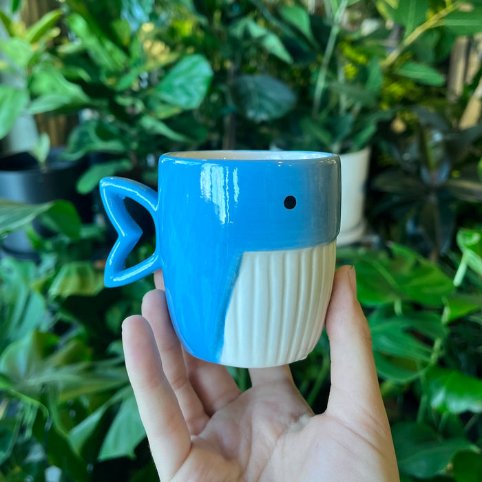 Whale Pot (Assorted Colours)