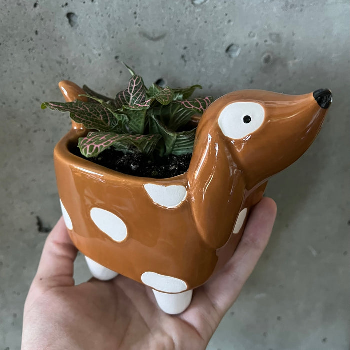 Pup Pot