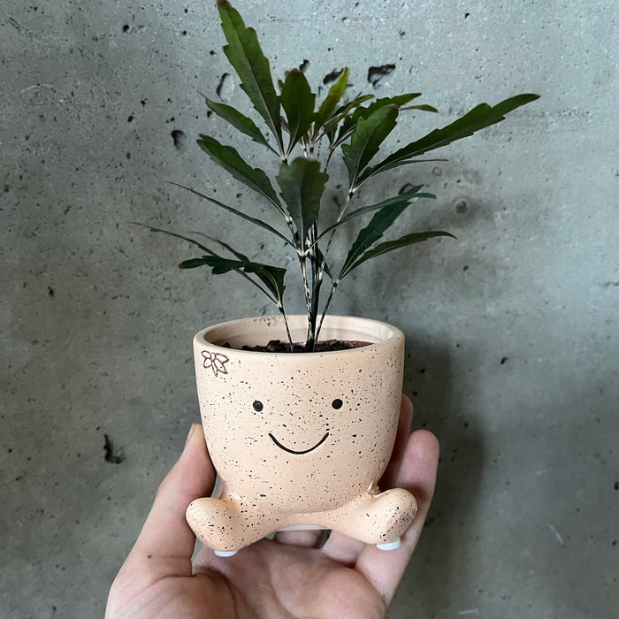 Smiley Guy Pot