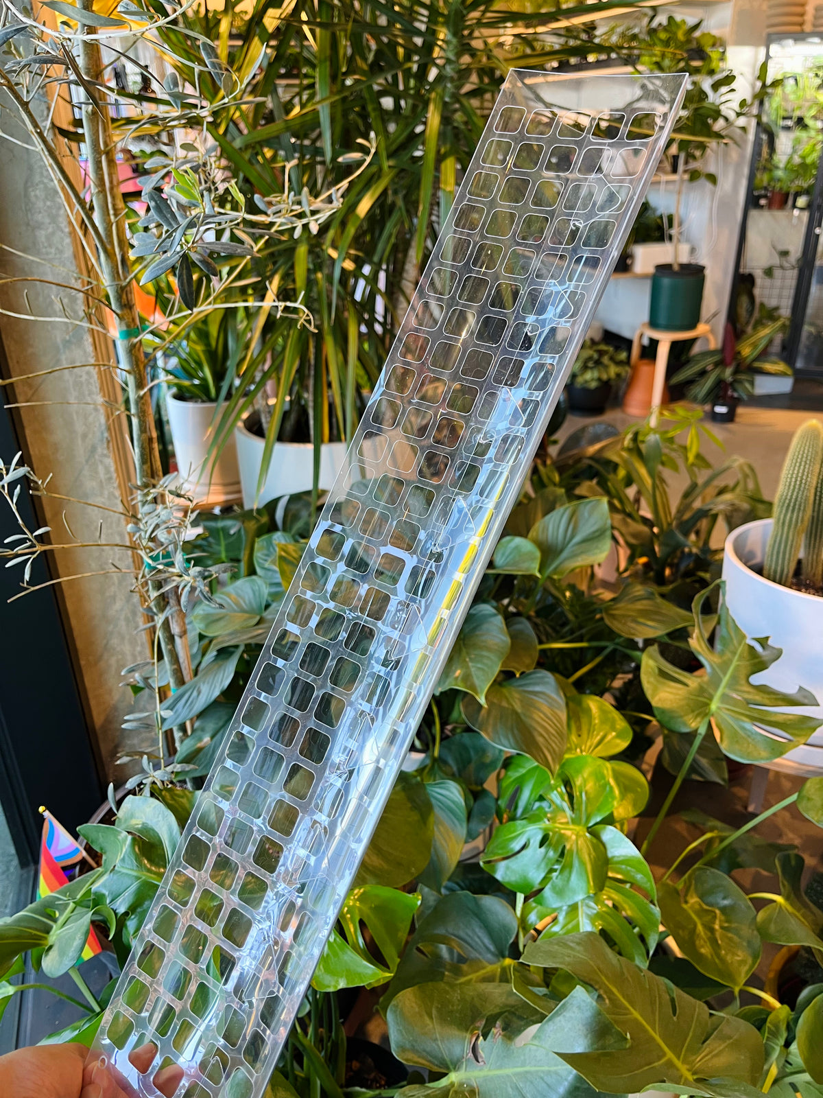 diy d shaped moss pole D Shaped Moss Pole – VI Plant Shop