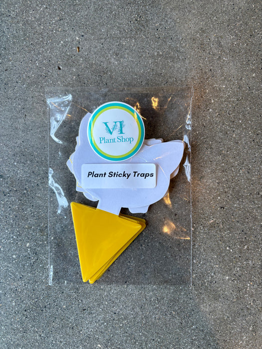 Sticky Traps