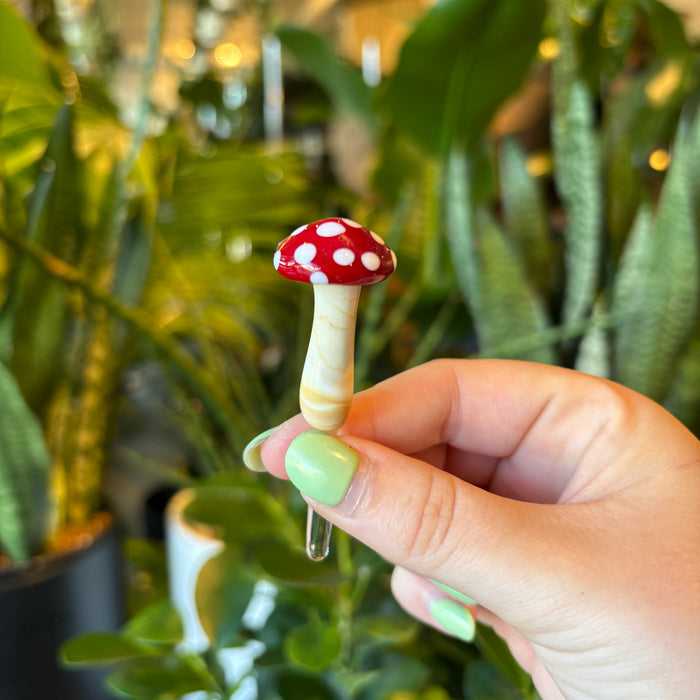 Glass Mushroom Plant Spike