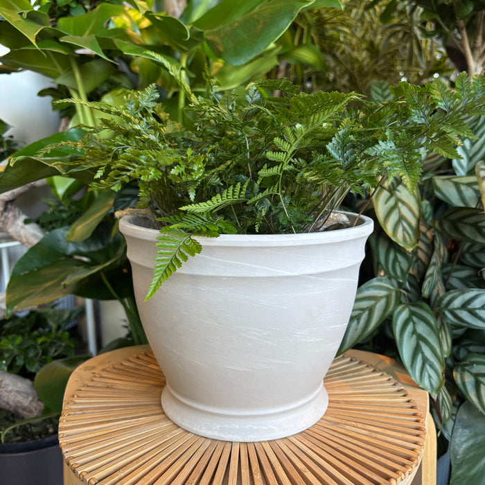 Ornate Marble Terracotta Planter with Water Saucer