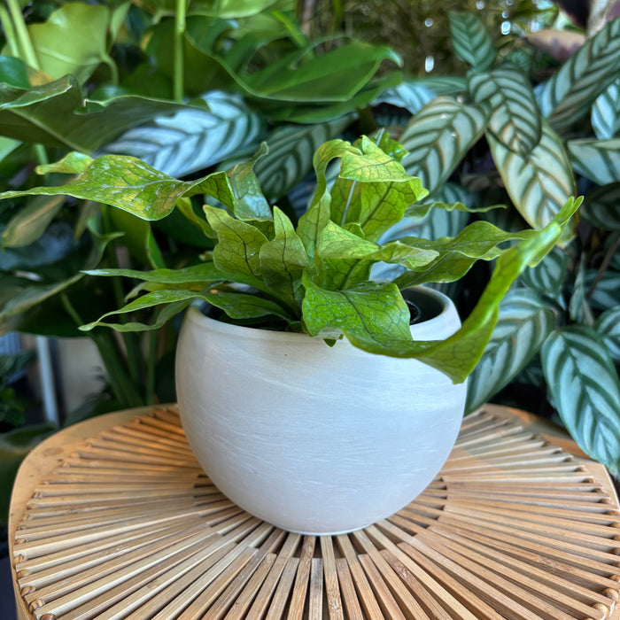 Marble Terracotta Sphere Planter