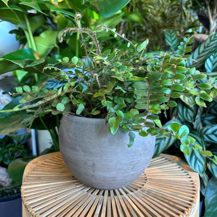 Dark Marble Sphere Terracotta Planter