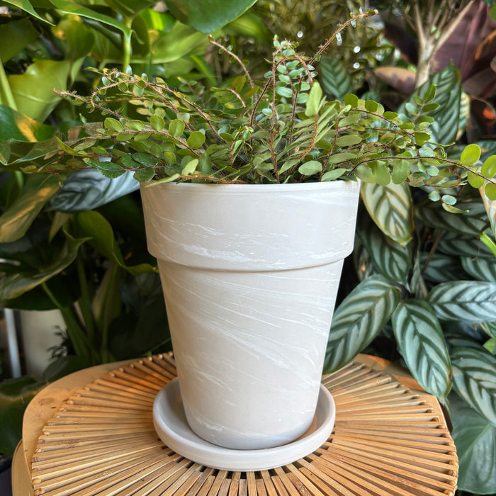 Tall Marble Terracotta Planter with Water Saucer