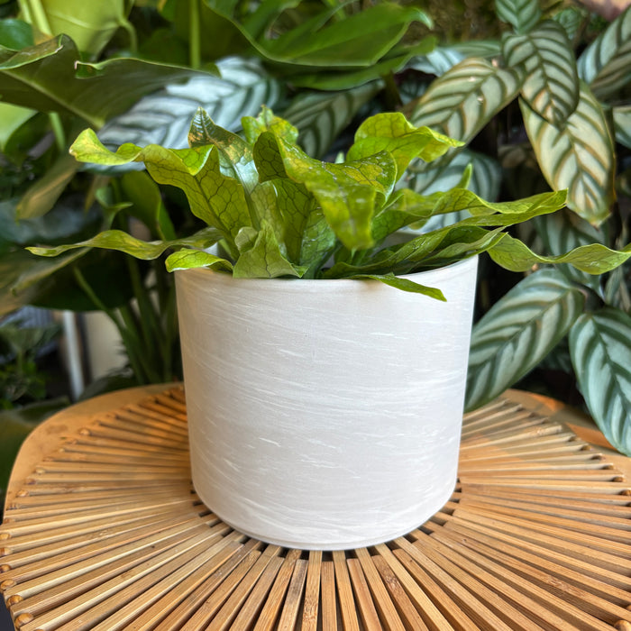 Marble Terracotta Pillar Pot