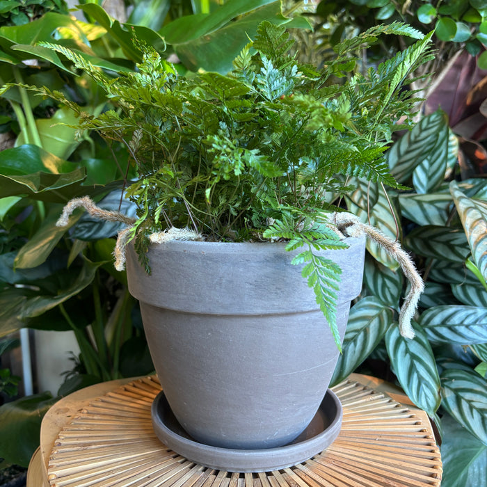 Rounded Dark Marble Terracotta Planter with Water Saucer
