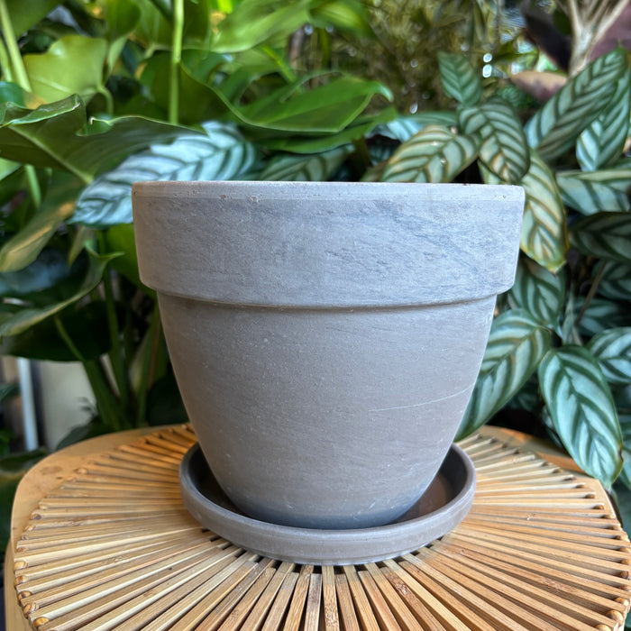Rounded Dark Marble Terracotta Planter with Water Saucer