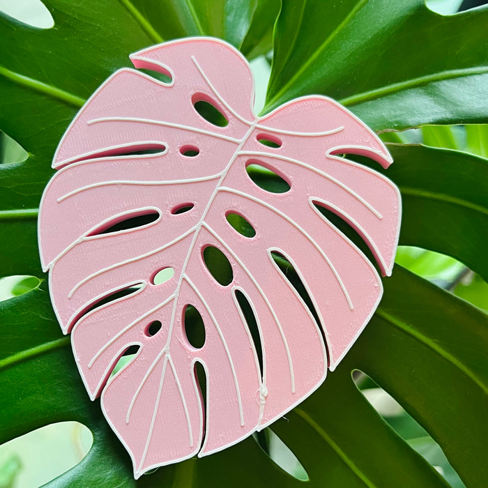 Pink Monstera Leaf Magnet