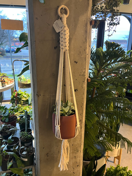 Liz Cream Macrame Plant Hanger