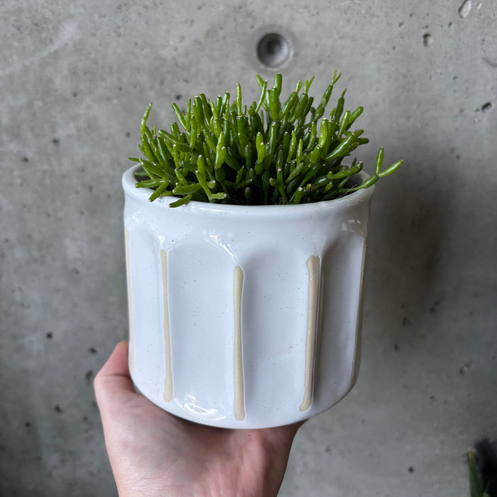 Linden Ridge Planter
