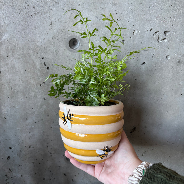 Honeybee Planter
