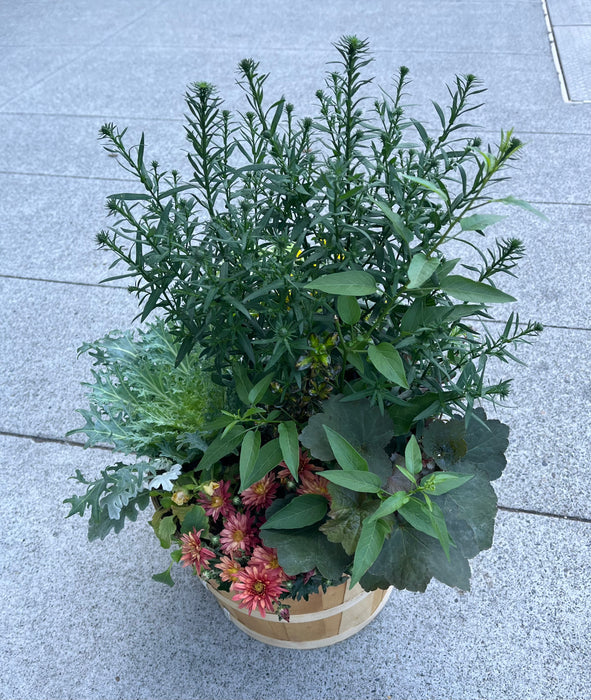 Apple Basket Mixed Flowering Planter