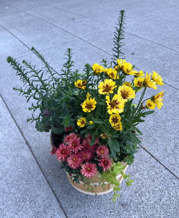 Apple Basket Mixed Flowering Planter