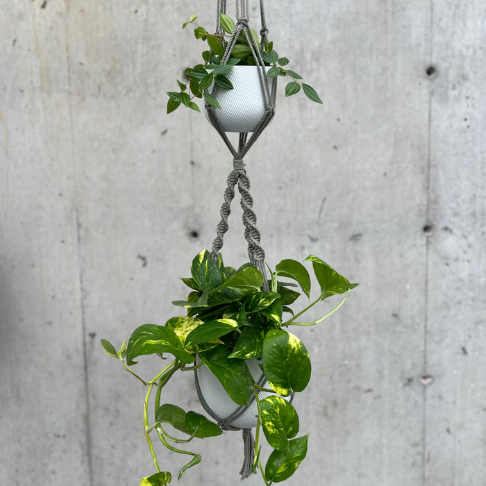 Sage Double Plant Macrame Hanger