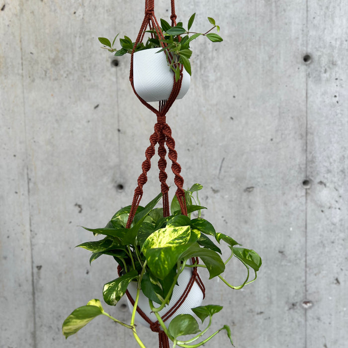 Rust Double Plant Macrame Hanger