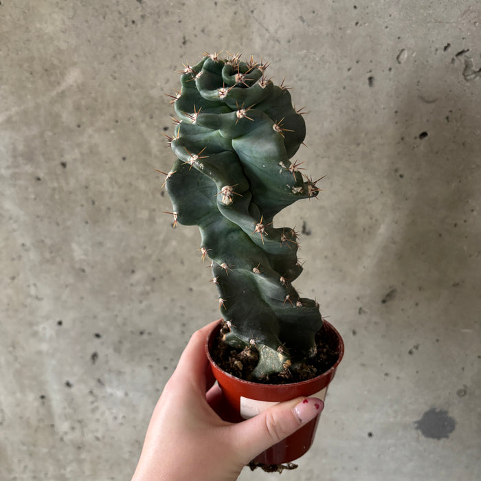 Story Sale
