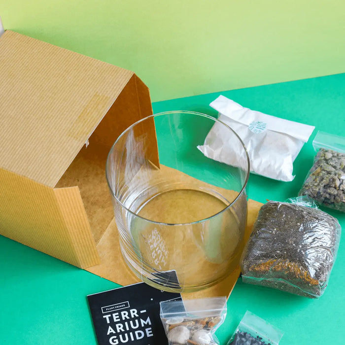 Terrarium Kit: Large Cylinder