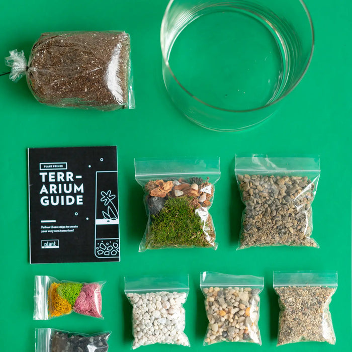 Terrarium Kit: Large Cylinder