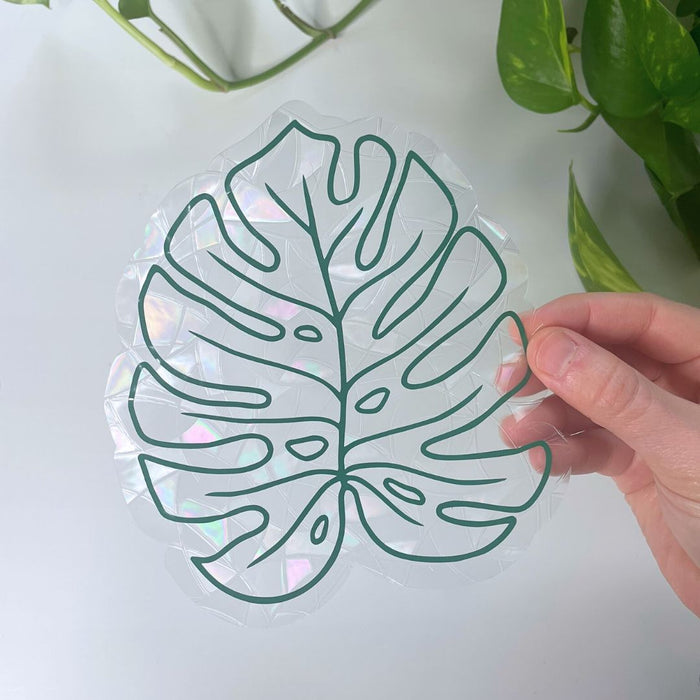Monstera Leaf Suncatcher Sticker | Window Cling